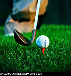 Photo of a golf tee