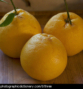 Photo of three grapefruit.
