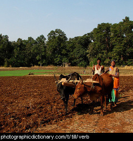 Photo of a family tilling their field