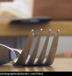 Photo of tines of a fork