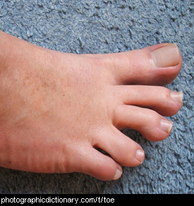 Photo of toes