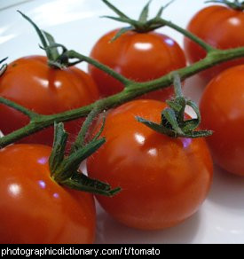 Photo of tomatoes