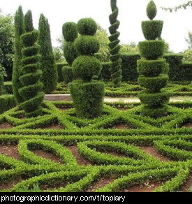 Photo of topiary