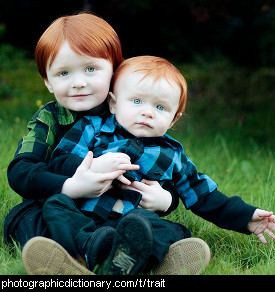 Photo of two red-haired children