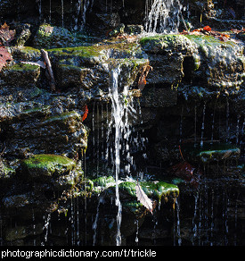 Photo of a trickle of water