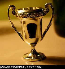Photo of a trophy