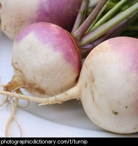 Photo of turnips