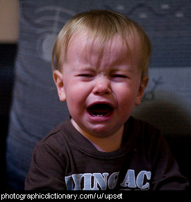 Photo of an upset toddler