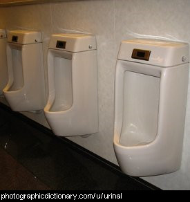 Photo of some men's urinals