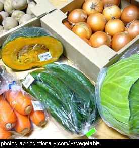 Photo of vegetables