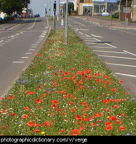 Photo of a road verge