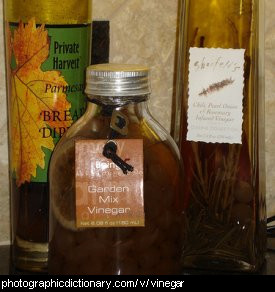Photo of vinegar