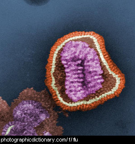 Photo of a virus