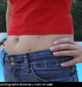 Photo of a woman's waist