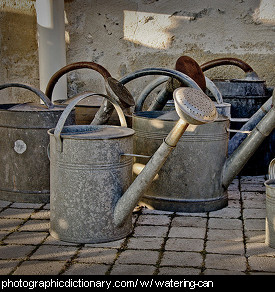 Photo of watering cans
