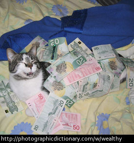 Wealthy cat.