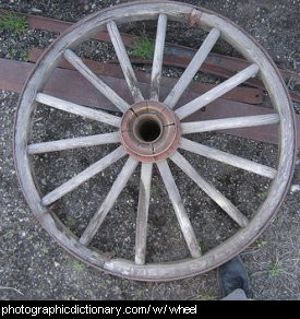 Photo of a wheel