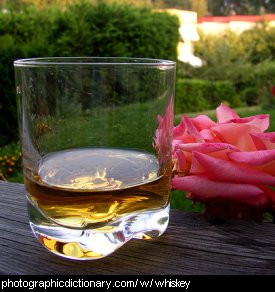 Photo of a glass of whiskey