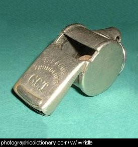 Photo of a whistle