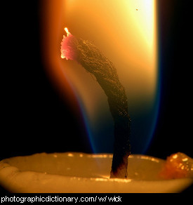 Photo of a candle wick.