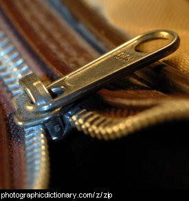 Photo of a zipper