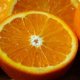 Plants that start with O