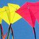 Photo of a kite.