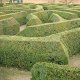 Photo of a maze.