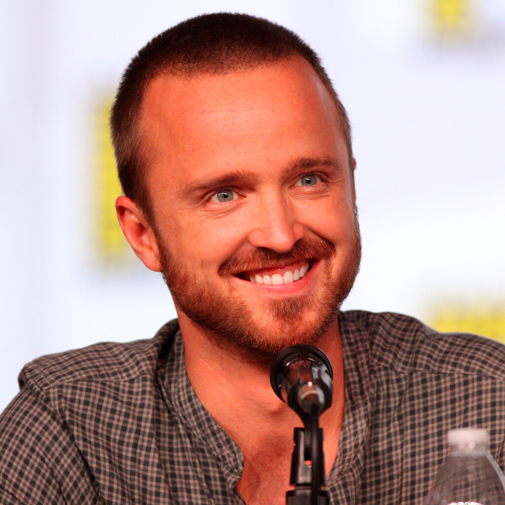 Actor Aaron Paul.