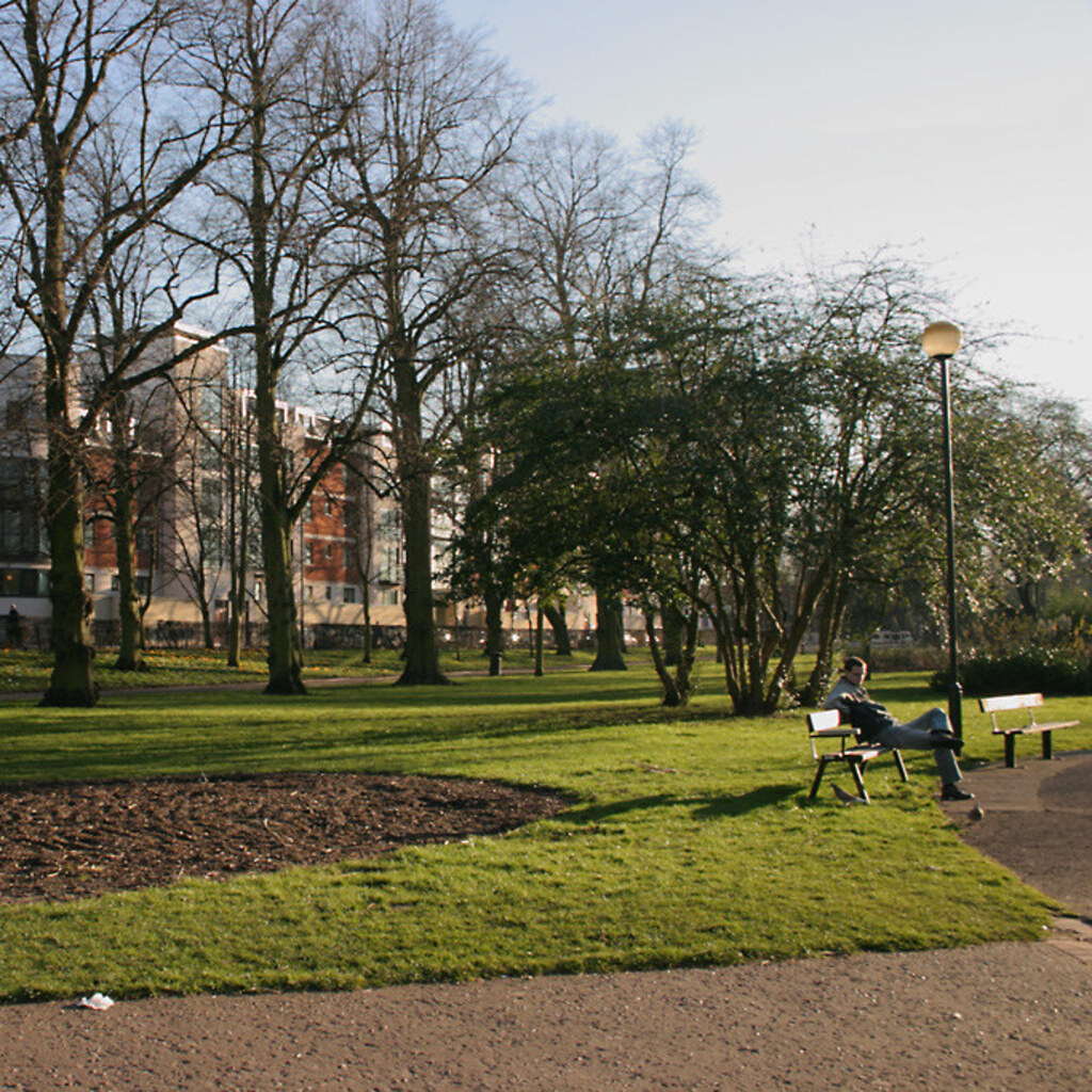 Photo of a park in the afternoon
