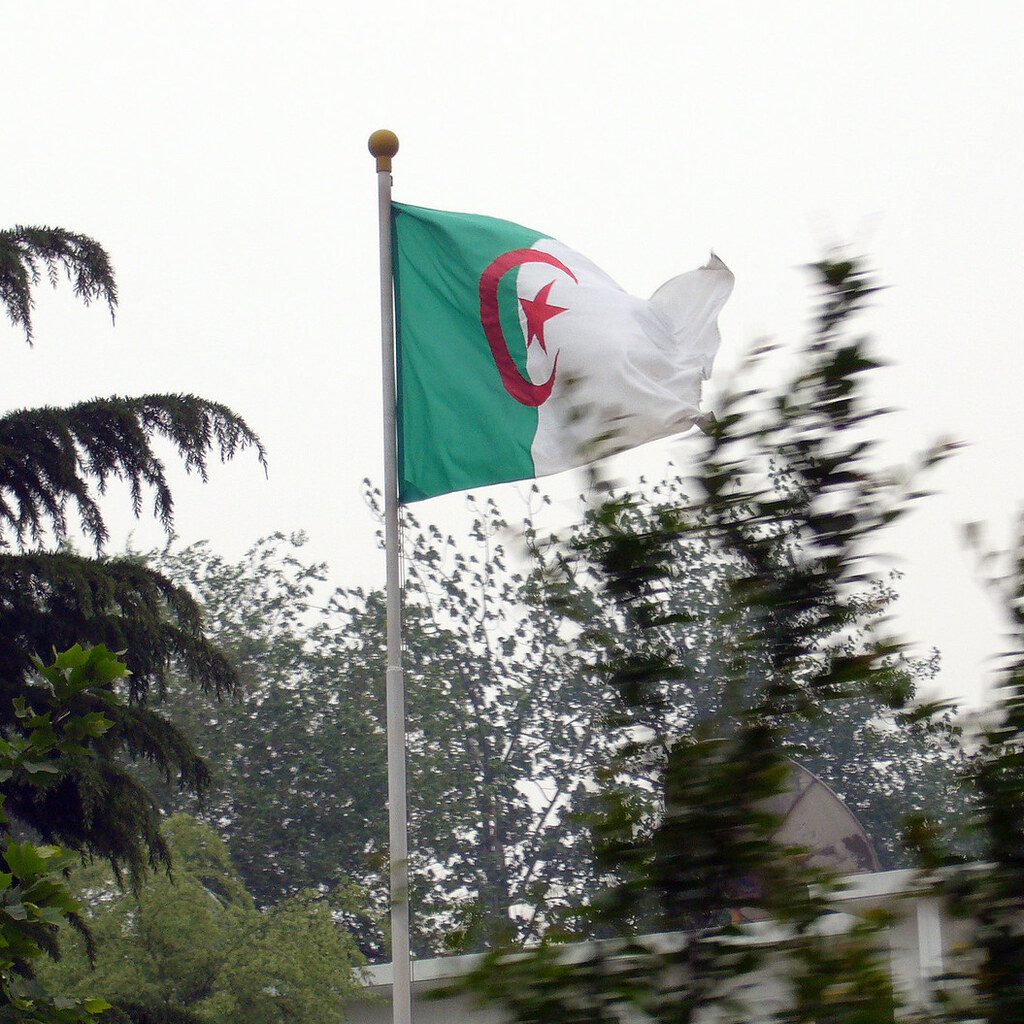 Photo of the Algerian flag