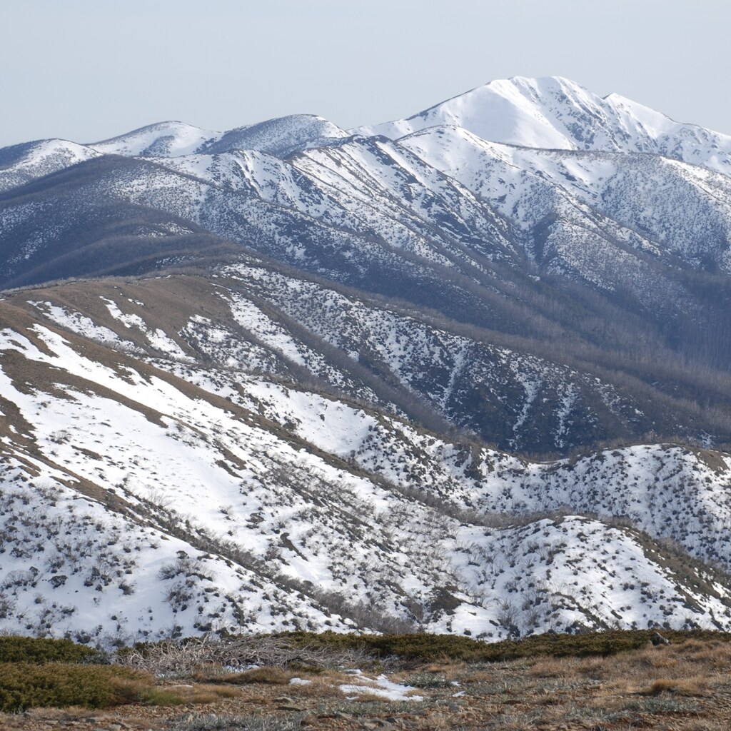 A photo of snow-covered mountain ridges and forested slopes under a pale blue sky
