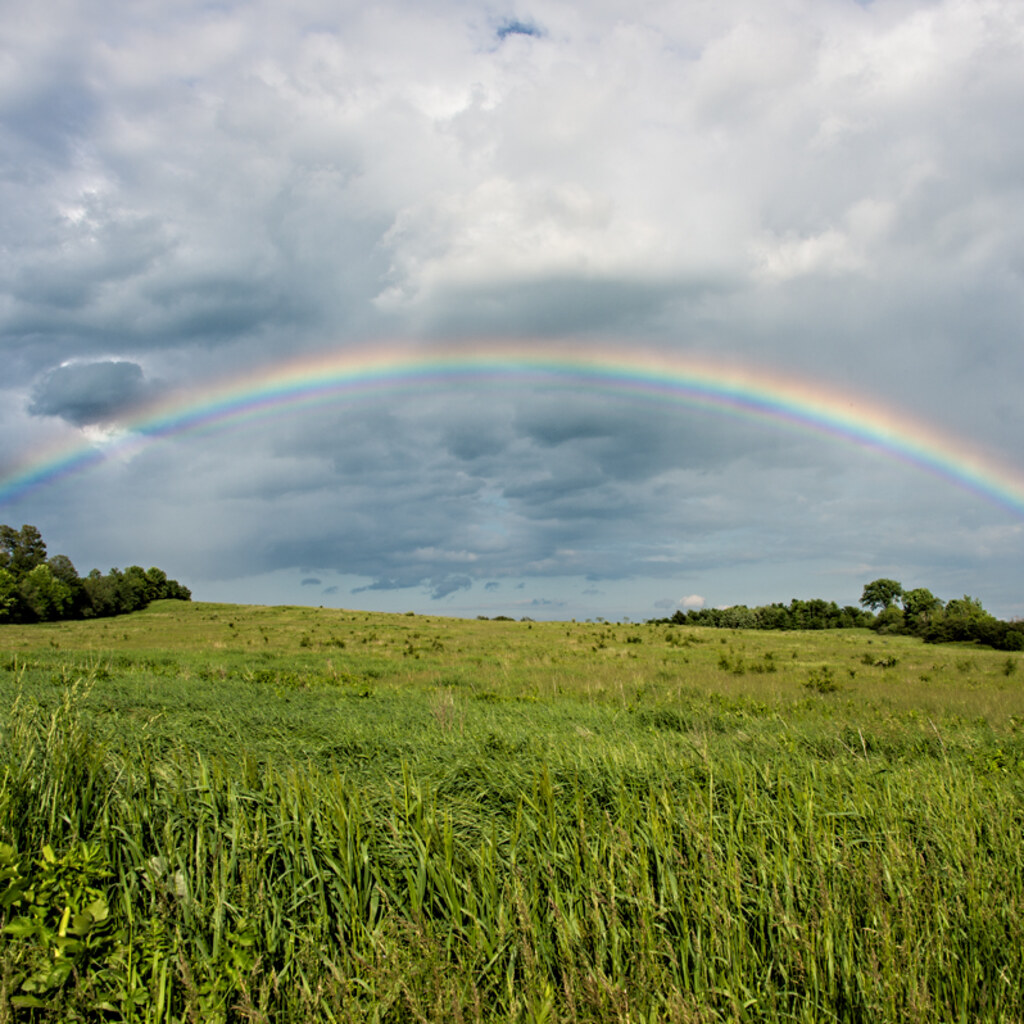 A rainbow in the shape of an arc.