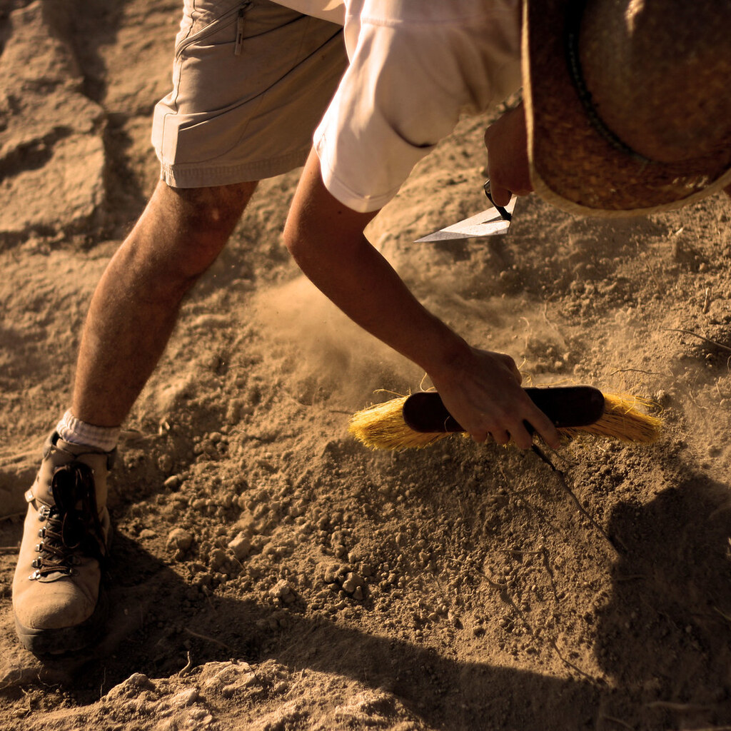 Photo of an archaeologist