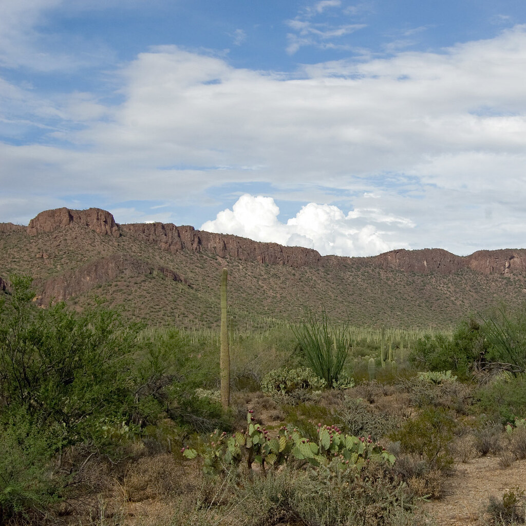 Photo of Arizona scenery