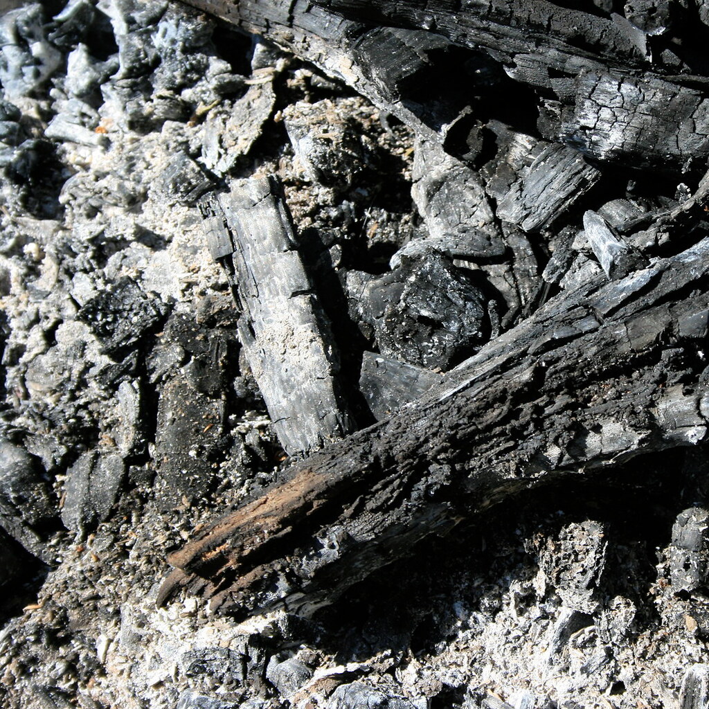 Photo of some ashes