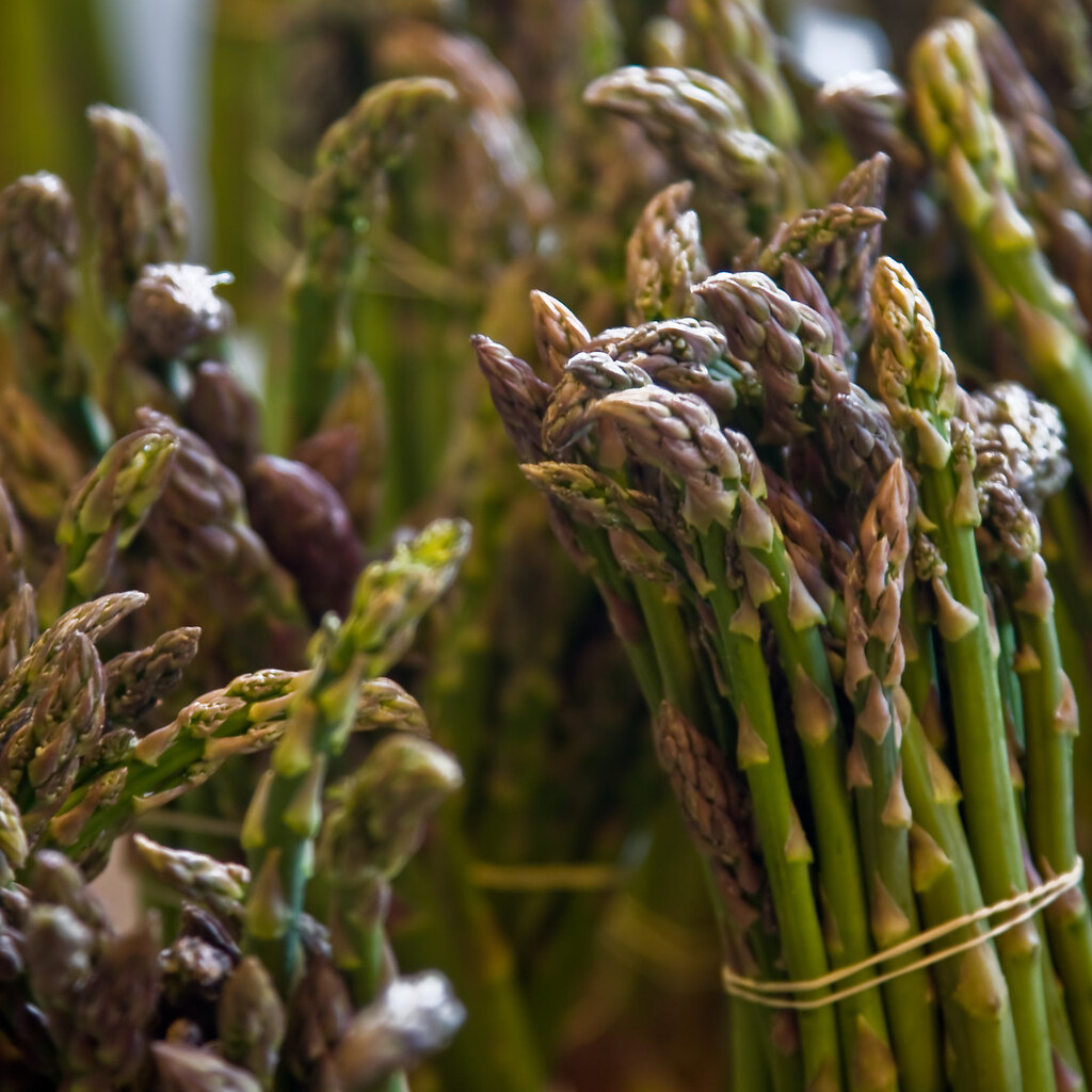 Photo of asparagus spears