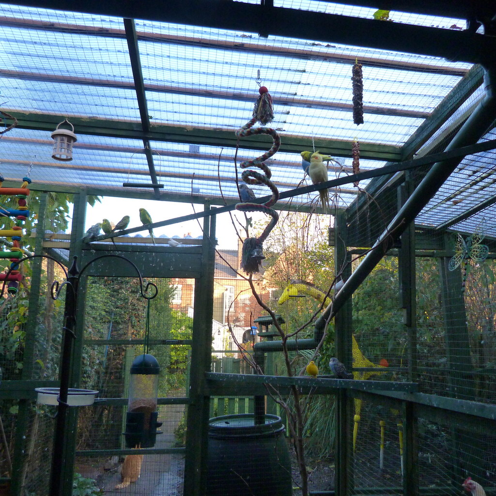 Photo of an aviary