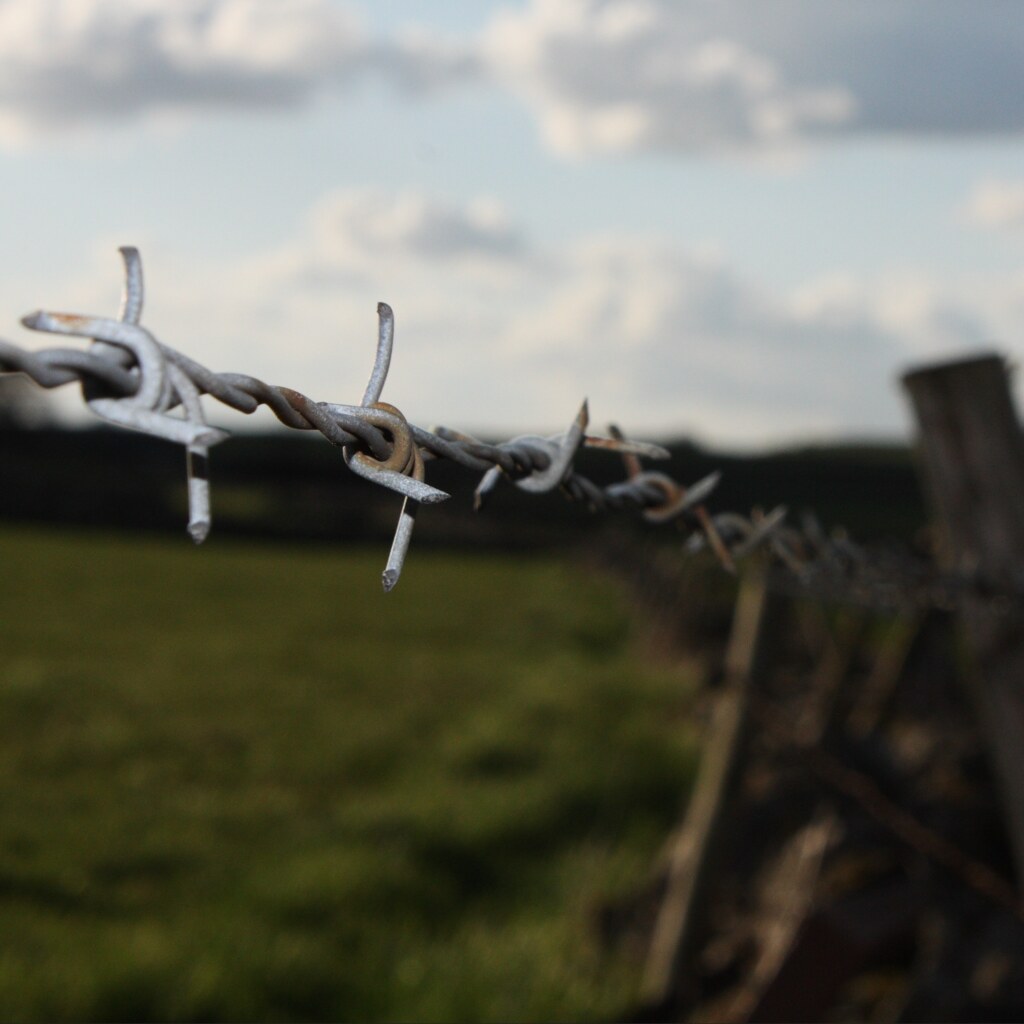 Photo of some barbed wire