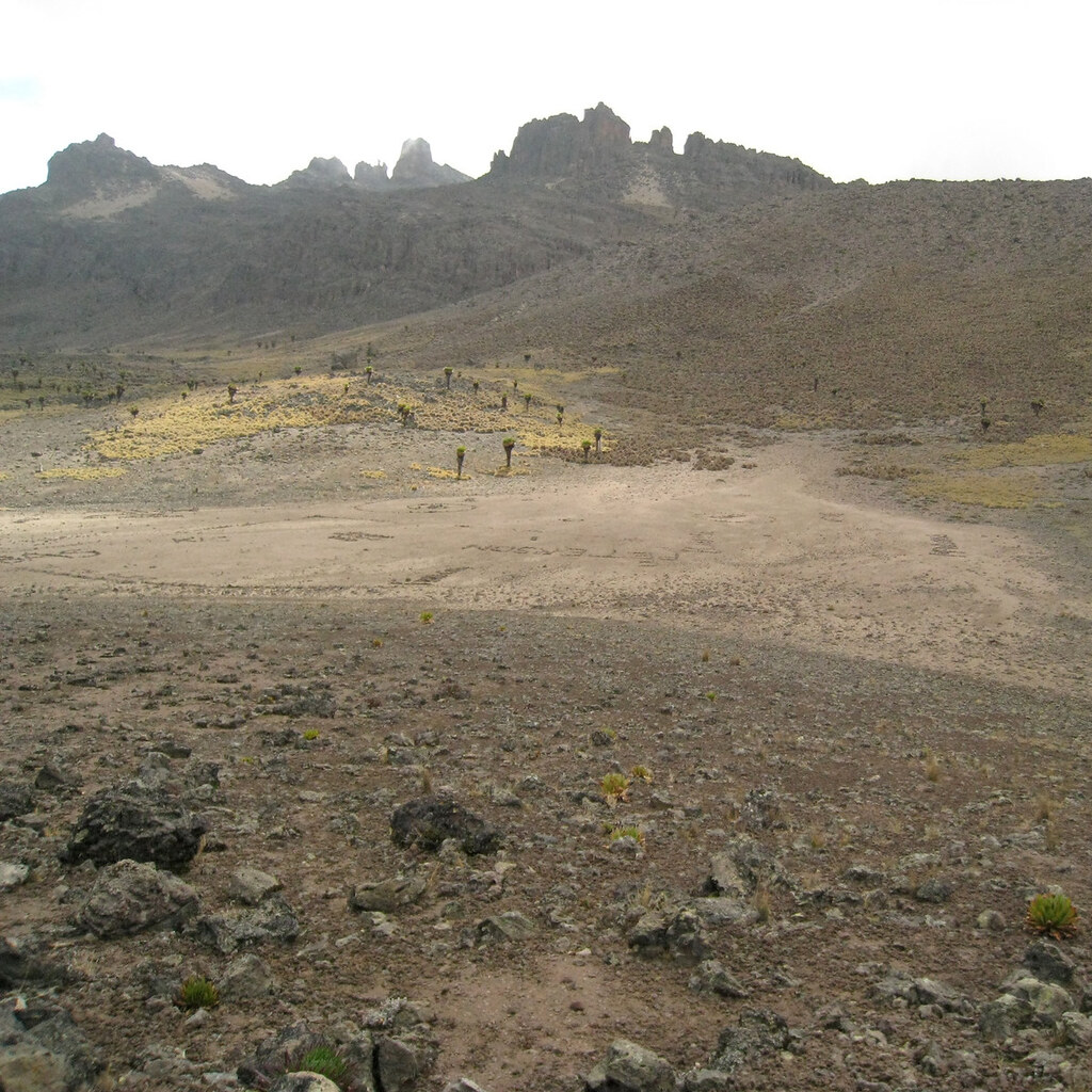 Photo of barren land