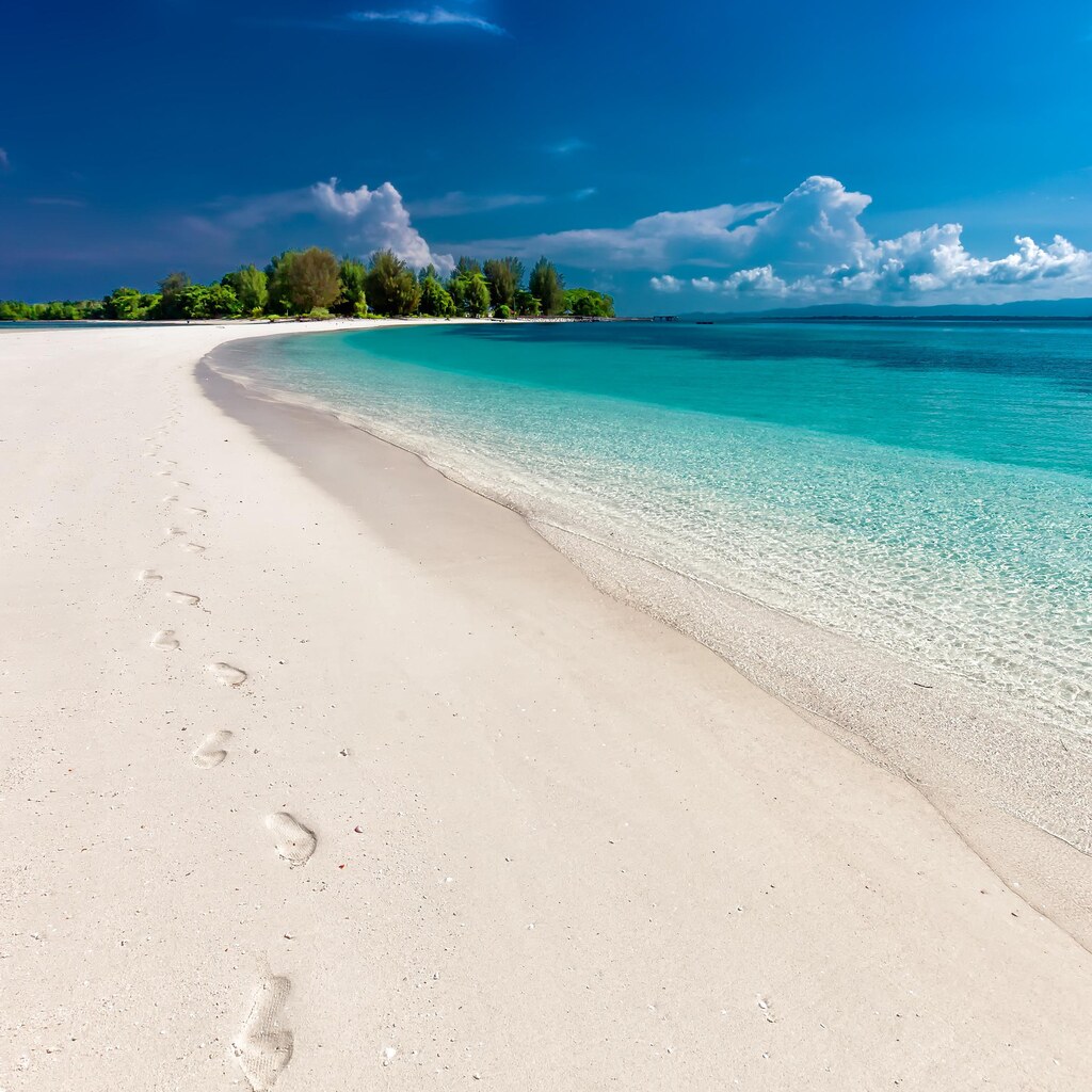 Photo of a beach