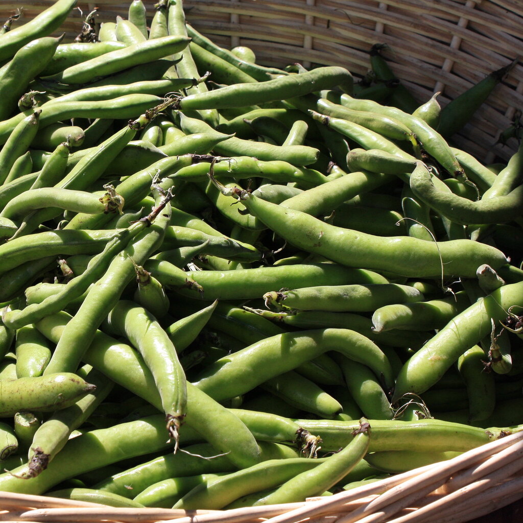 Photo of green beans