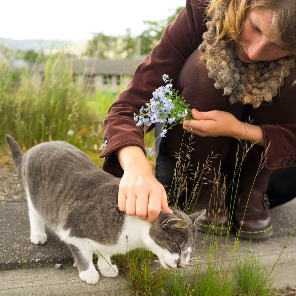 A woman befriending a cat