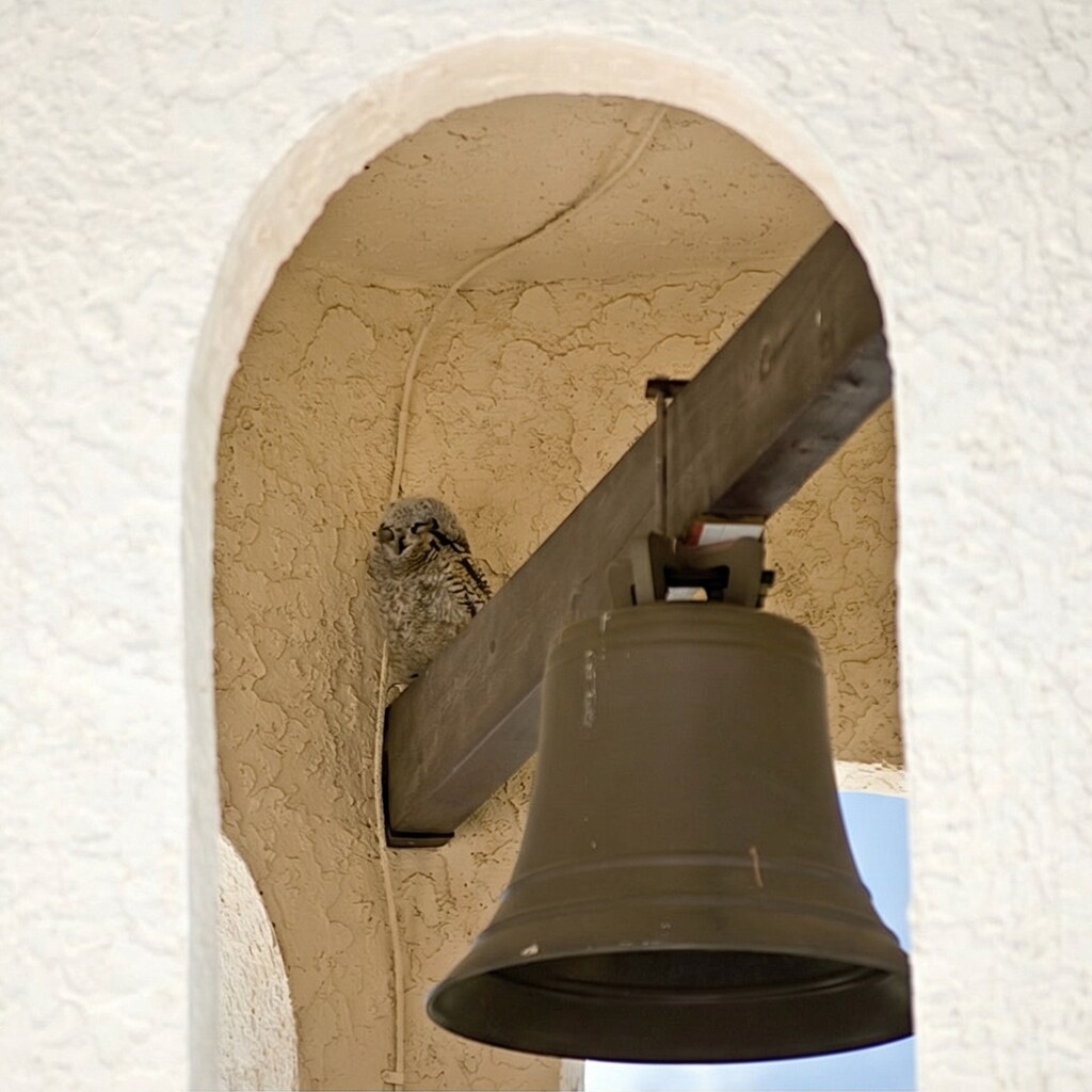 Photo of a church bell