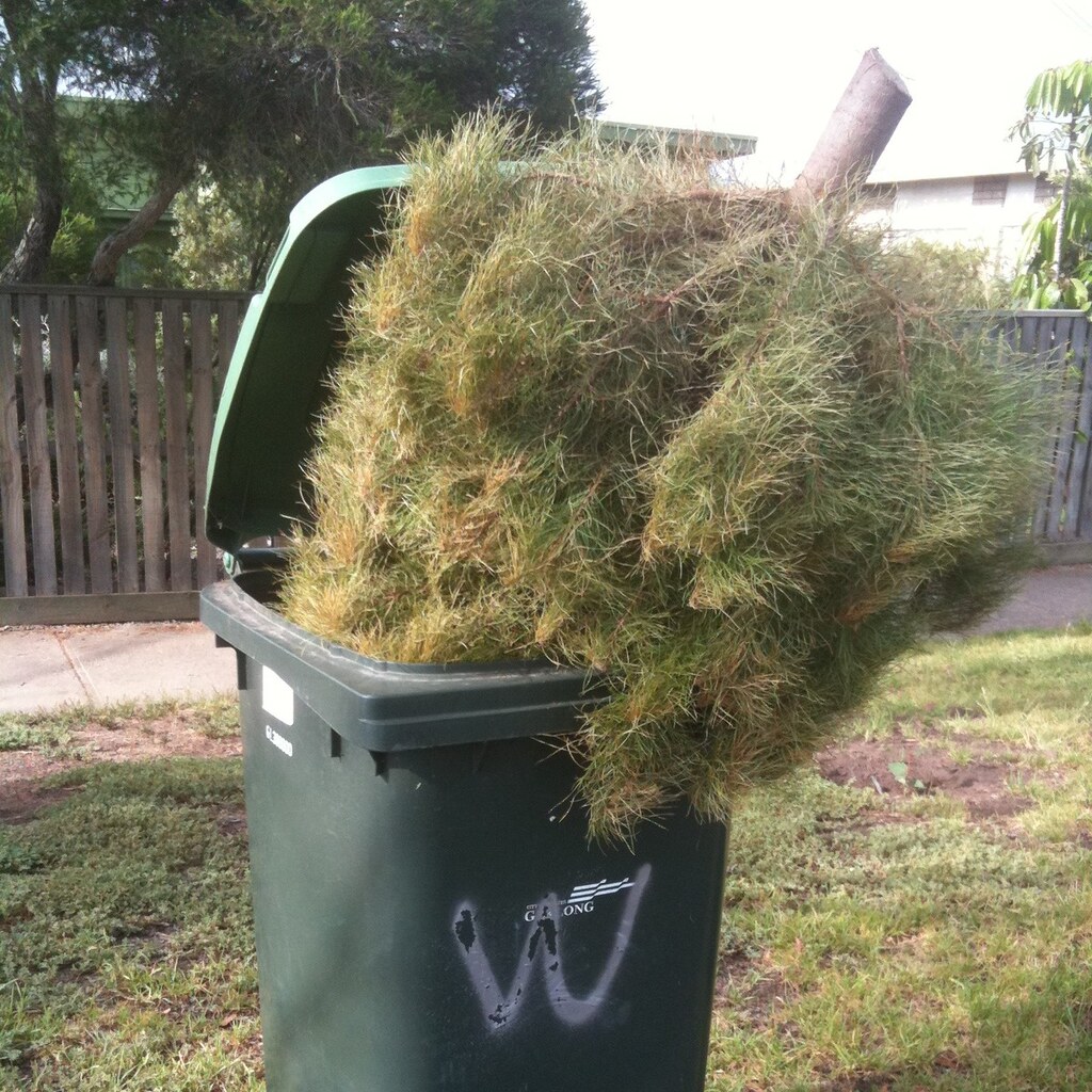A christmas tree in a bin