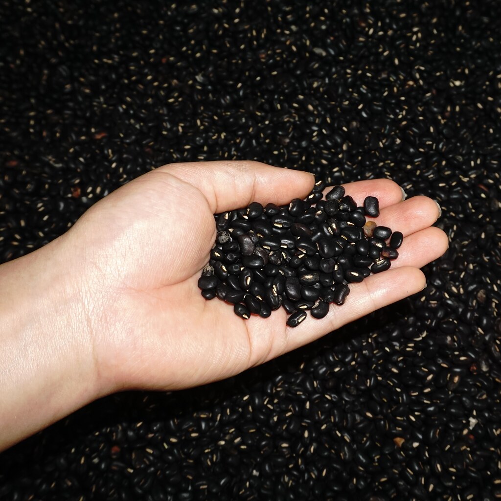 A photo of black beans