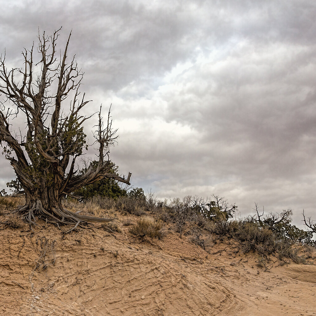 Photo of a bleak landscape