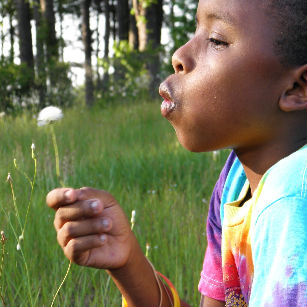 Photo of a boy blowing on a dandelion
