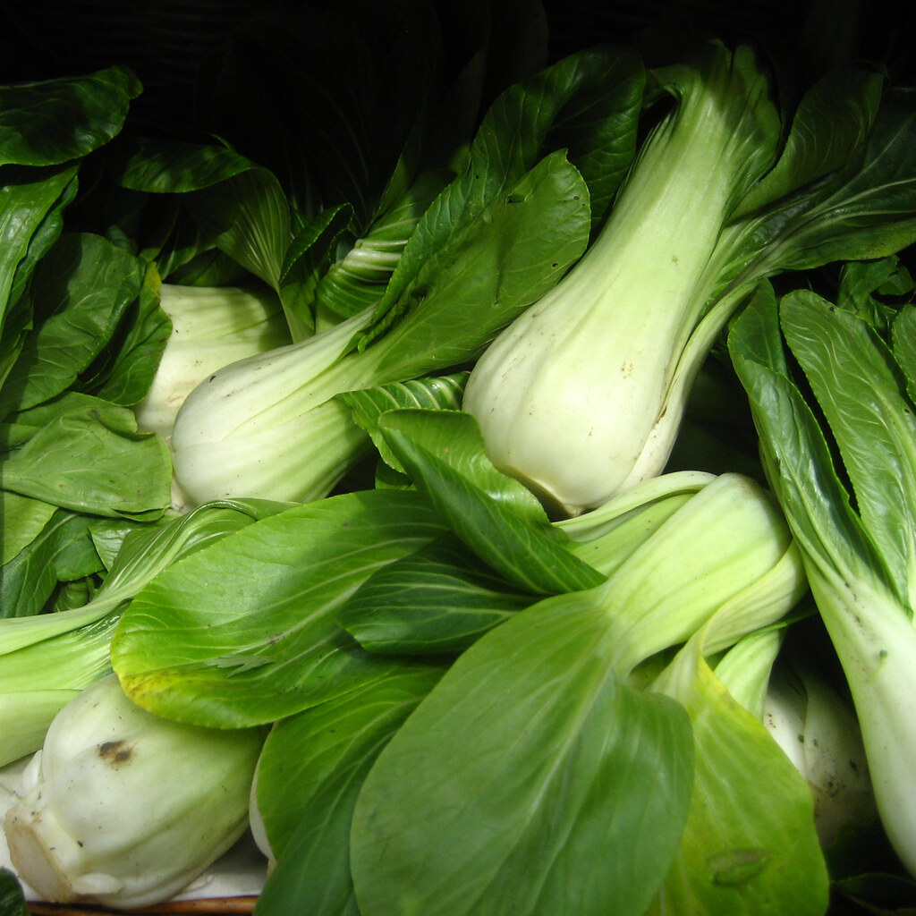 Photo of pak choi