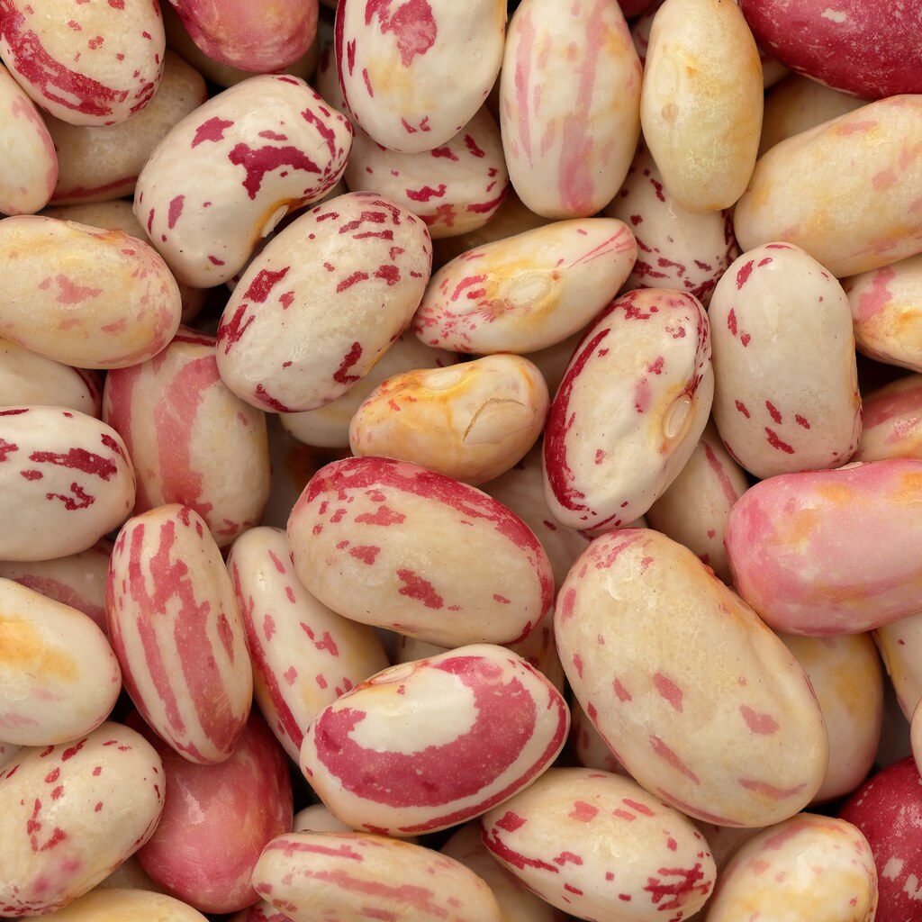 A photo of borlotti beans